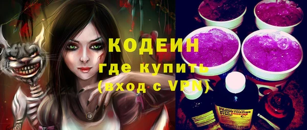 твердый Новодвинск