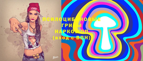 MDMA Няндома