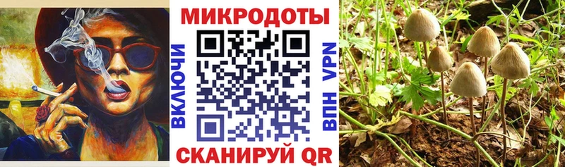 нарко площадка наркотические препараты  Северобайкальск  Галлюциногенные грибы мухоморы 